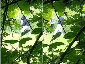Desi couple enjoys outdoor sex in India