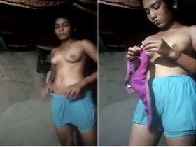 Desi babe flaunts her boobs and pussy in a video call