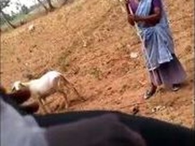 Desi granny gets wild with her grandson's cock in public