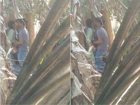 Desi couple enjoys outdoor sex in MMS video