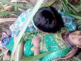 College student enjoys outdoor sex with desi lover