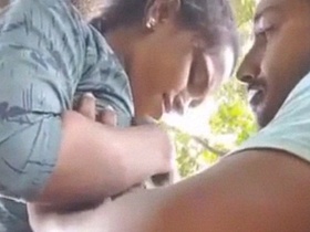 Desi college students have outdoor sex in public playground