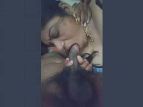 Indian bhabi gives a Tamil blowjob