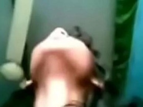 Desi BF video showcases hot sali sex and chut lund