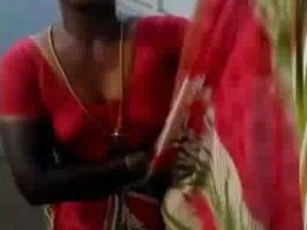 Desi Aunty's Big Boobs