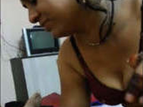 Desi bhabhi's blowjob with audio in Hindi