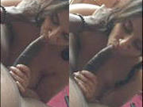 Indian girlfriend gives sensual blowjob in south video