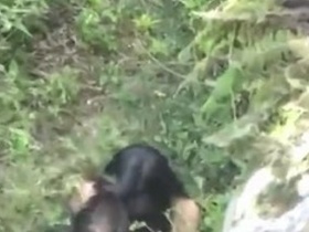 Desi Aunty's steamy outdoor encounter