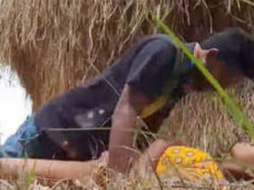 Stunning video of Indian couple having sex in the open air