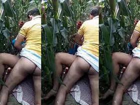 Desi wife gets fucked by neighbor in village corn field